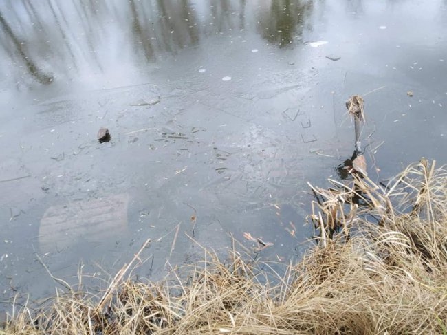 У луцькому парку вандали перекинули смітники і кинули лавки в канал. ФОТО
