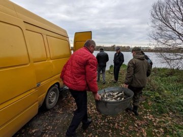 Пів тонни риби цінних порід випустили у водосховище на Волині