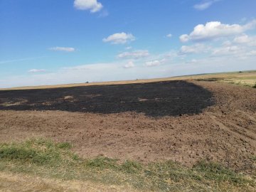 На Волині горіла стерня. ФОТО