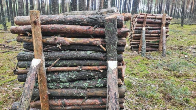 Заготівля, запаси, ціни: яка ситуація з дровами на Волині