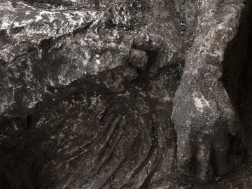 У Помпеях знайшли останки двох жертв виверження Везувію. ФОТО