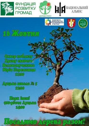 У Луцьку садитимуть дерева заради миру 