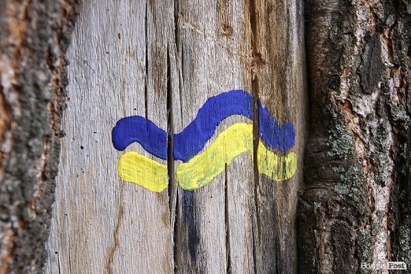 Бандерштат-2014. День третій. ФОТО