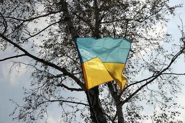 Бандерштат-2014. День третій. ФОТО