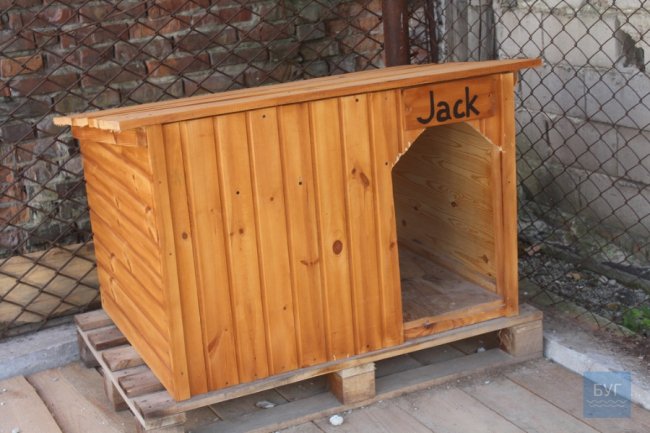 У поліції Нововолинська з’явився чотирилапий помічник. ФОТО