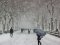 Синоптикиня розповіла, чи чекати снігу взимку в Україні