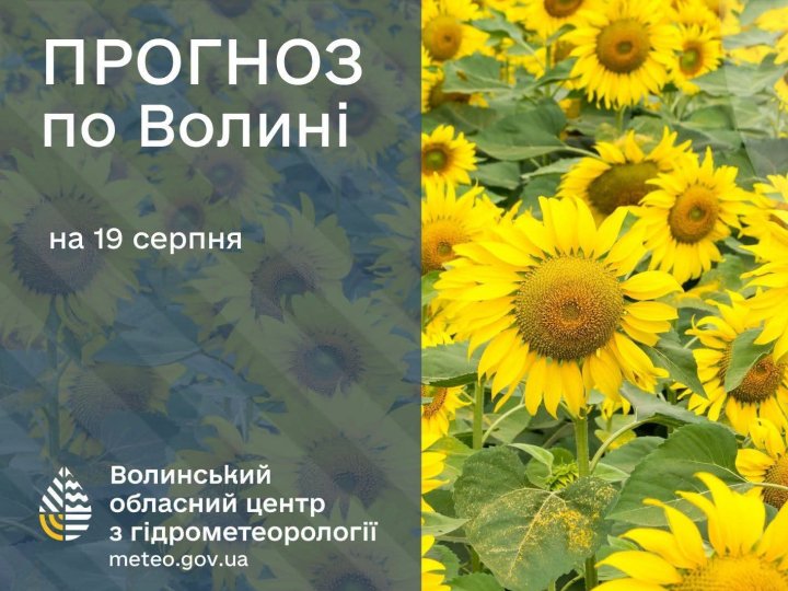 Погода у Луцьку та на Волині: які прогнози синоптиків на середу, 19 серпня