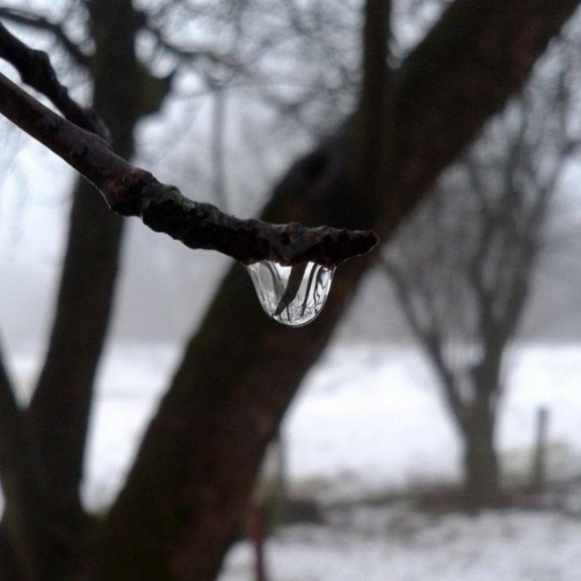 Краса волинської зими. ФОТО