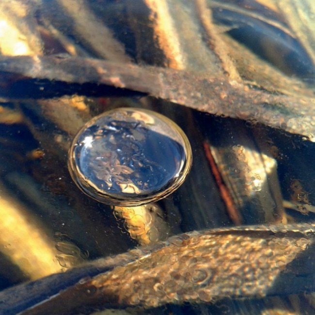 Краса волинської зими. ФОТО