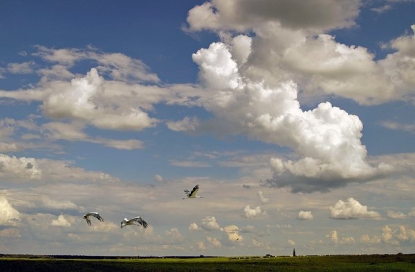 Фотовиставка Олександра Шишкіна