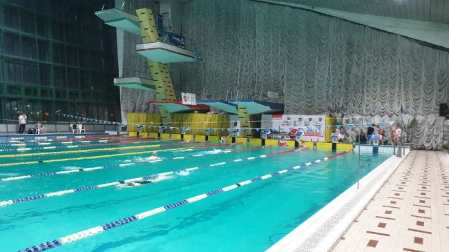 Спортсмени з Волині здобули декілька медалей на чемпіонаті України з плавання. ФОТО