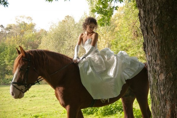 Фотовиставка Василя Охріменка