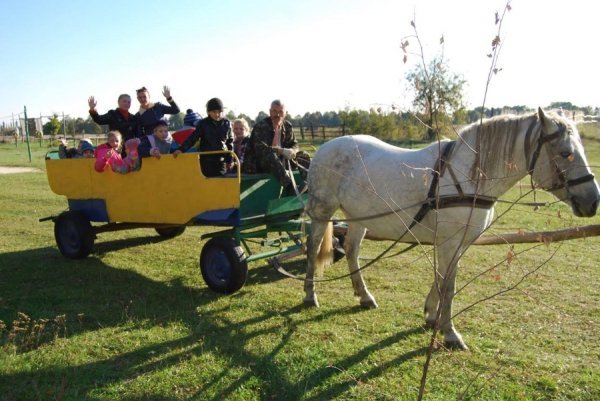 Волиняни долучилися до проекту «Схід і Захід: єдність шляхом культурної інтеграції». ФОТО