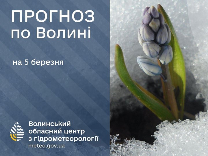 Якою буде погода у Луцьку та на Волині 5 березня