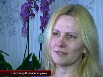 Невеличку квартиру волинянки прикрашають десятки орхідей
