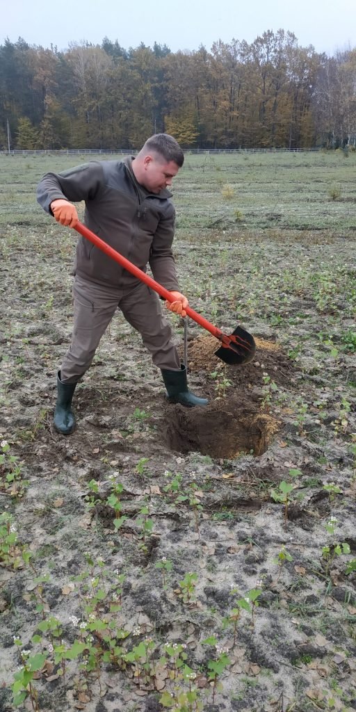 Груші, абрикоси та персики: у лісгоспі на Волині висадили фруктовий сад. ФОТО