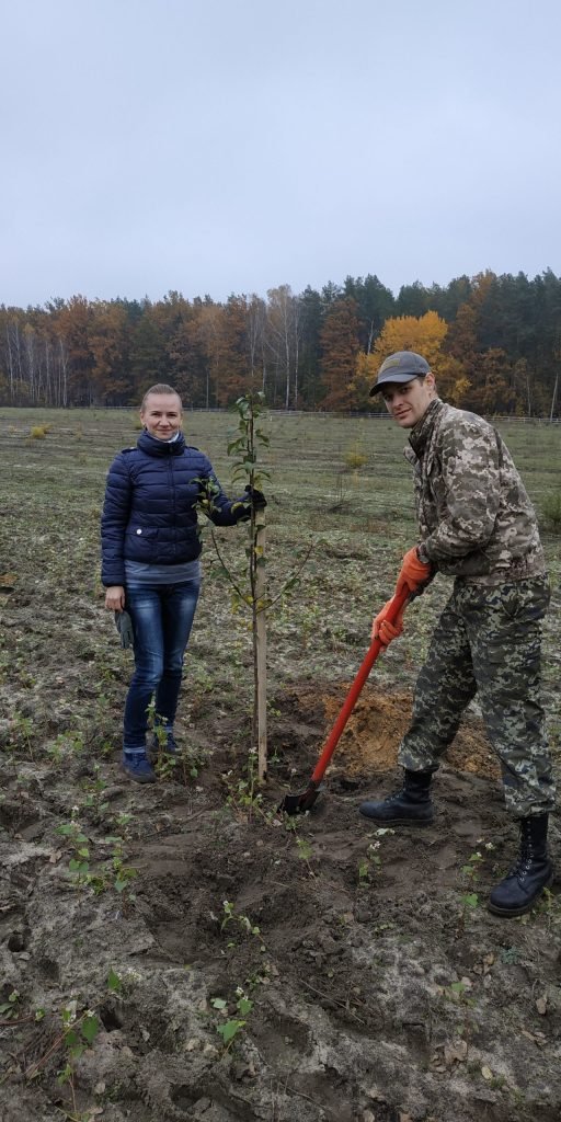 Груші, абрикоси та персики: у лісгоспі на Волині висадили фруктовий сад. ФОТО