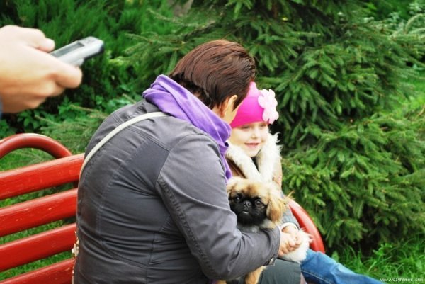 Як у Луцьку під авторські пісні їли кашу. ФОТО