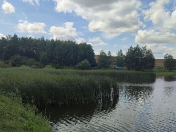 У Луцькому районі віддають в оренду ставок