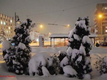 Передсвятковий вечір у засніженому Луцьку. ФОТО