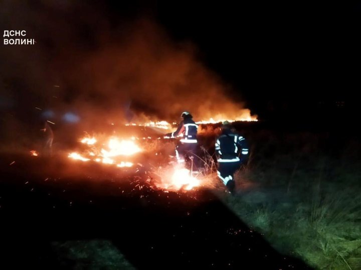 Масштабна пожежа в екосистемі на Волині охопила 2 гектари