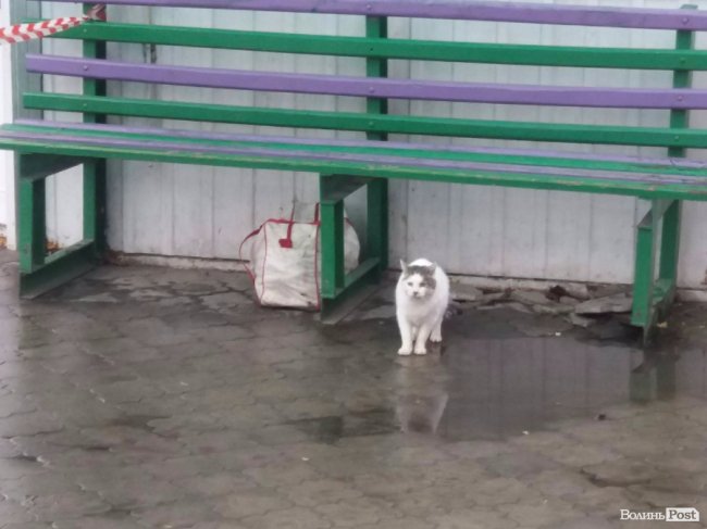 У Луцьку на зупинці виявили підозрілу сумку, в якій виявилася картопля. ФОТО