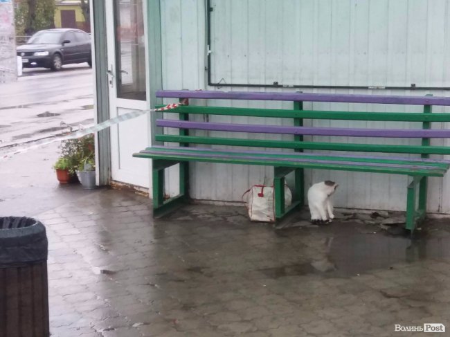 У Луцьку на зупинці виявили підозрілу сумку, в якій виявилася картопля. ФОТО