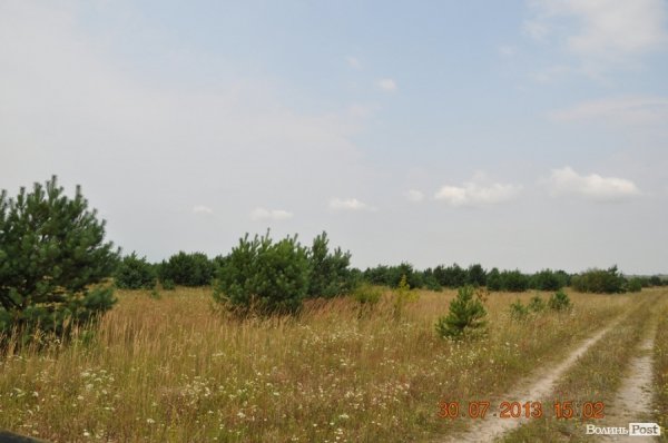 Військовий полігон на Волині потерпає від безгосподарності. ФОТО