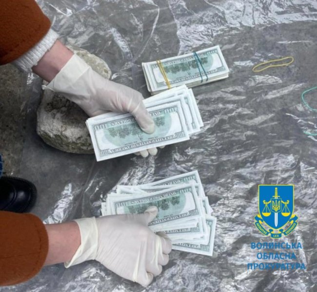 У Луцьку судять 26-річну жінку, яка продала 11-місячного хлопчика за 30 тисяч доларів