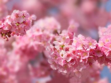 Погода в Луцьку та Волинській області на п'ятницю, 24 квітня