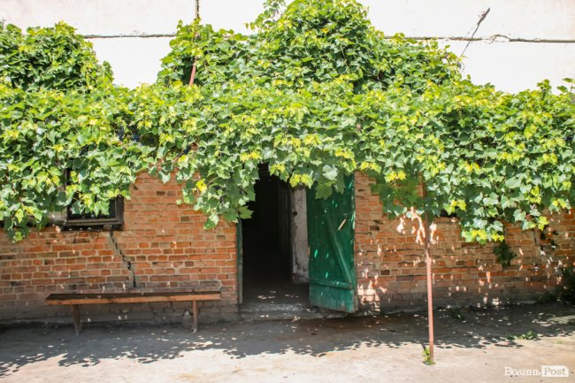 Безіменна вулиця і неназваний ставок: чим особливий неквапливий Вишків. ФОТО