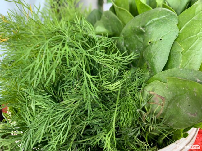 Скільки вартує зелень на ринку Луцька 