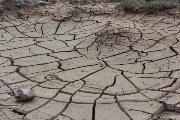 Як лучанин-мандрівник підкорював Індію. ФОТО