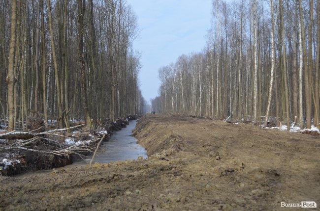Лісівники показали, як підкорюють волинські джунглі. ФОТО