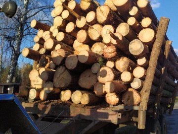 На Любешівщині зупинили два трактори із «лівою» деревиною