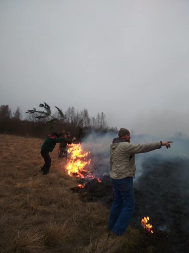 За кілька десятків метрів: на Волині відчайдухи приборкали пожежу, яка вже підбиралася до села. ФОТО