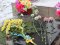 Пам’ять не згасає: у Володимирі вшанували ліквідаторів аварії на ЧАЕС. ФОТО