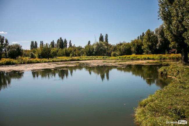 Безіменна вулиця і неназваний ставок: чим особливий неквапливий Вишків. ФОТО