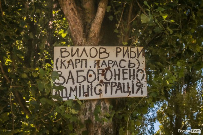 Безіменна вулиця і неназваний ставок: чим особливий неквапливий Вишків. ФОТО