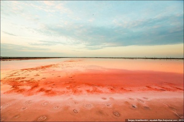 Соляні квіти та багряні ріки Криму. ФОТО