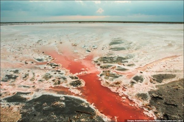 Соляні квіти та багряні ріки Криму. ФОТО
