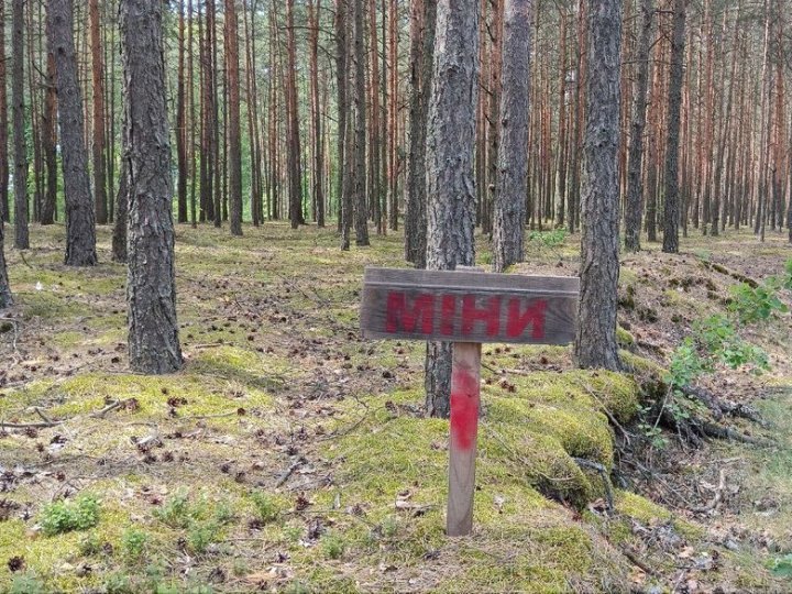 Жив біля самого кордону, пішов шукати кролям траву: деталі трагедії, де від вибуху міни загинув 55-річний волинянин