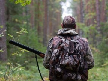 Знайшли вбитим та розчленованим одного з 9 благородних оленів, випущених на волю з воротнівського вольєра. ФОТО 18+