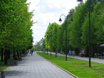 Якщо загинуло дерево – вирахуємо з Вашої зарплати, – Поліщук до чиновника, відповідального за полив 