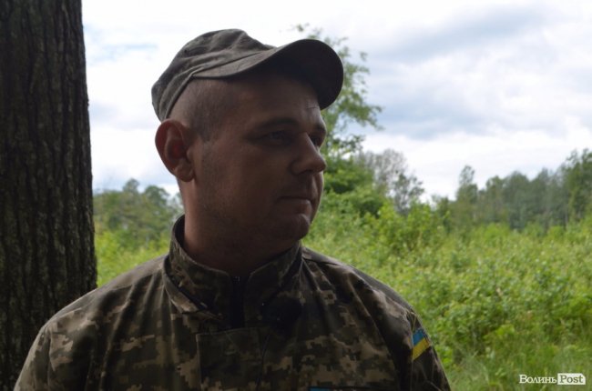 Цуманська пуща