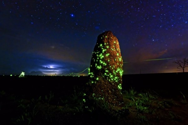 Нічний світ.