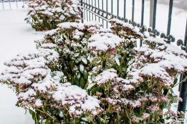 Засніжений Луцьк. ФОТОРЕПОРТАЖ