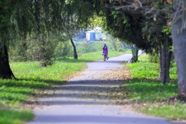 «Бабине літо» і «бебі-бум» Луцьку. ФОТО
