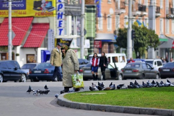 «Бабине літо» і «бебі-бум» Луцьку. ФОТО
