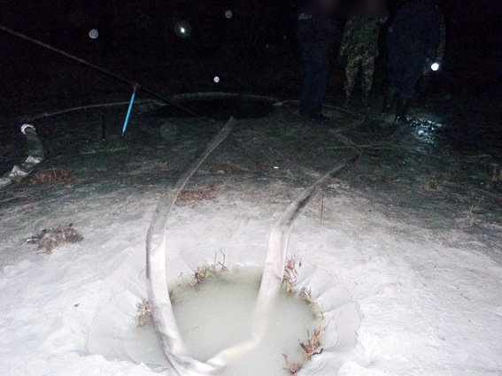 У волинському лісі бурштинокопачі облаштували 15 копанок. ФОТО